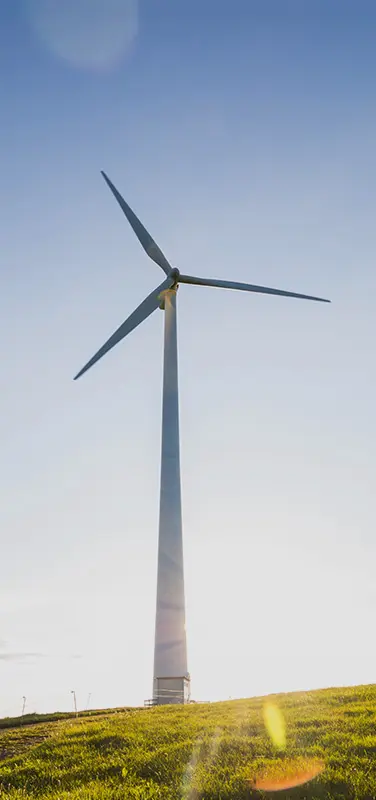 国产又粗又猛又爽又黄